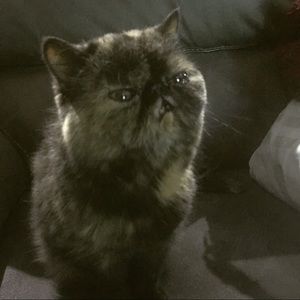 Meet your Posher, Kathryn